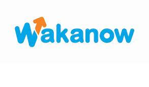www wakanow com|Wakanow .